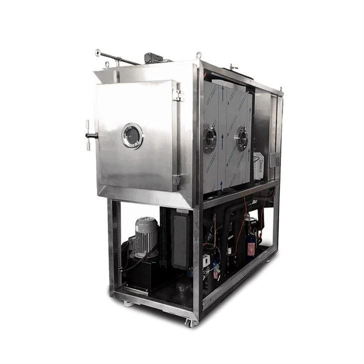 Vacuum Freeze Dryer manufacturers