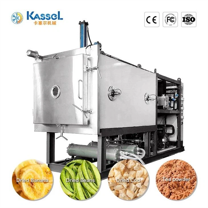 Vacuum Freeze Dryer wholesale