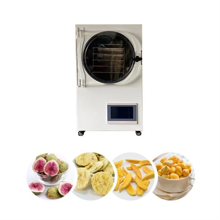 Home Use Freeze Drying Food Dehydrator