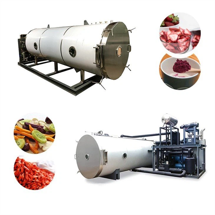 fruit industrial lyophilizer